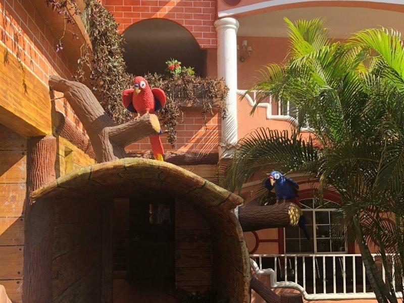 Hotel Residencia Del Sol Guatemala City Luaran gambar